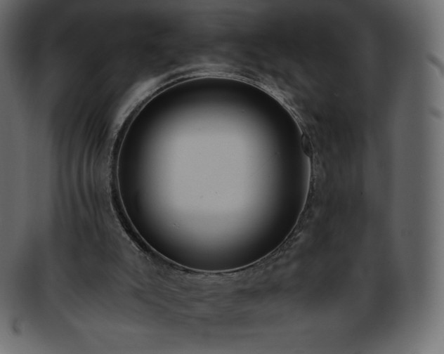 X0000093360007200710191106
