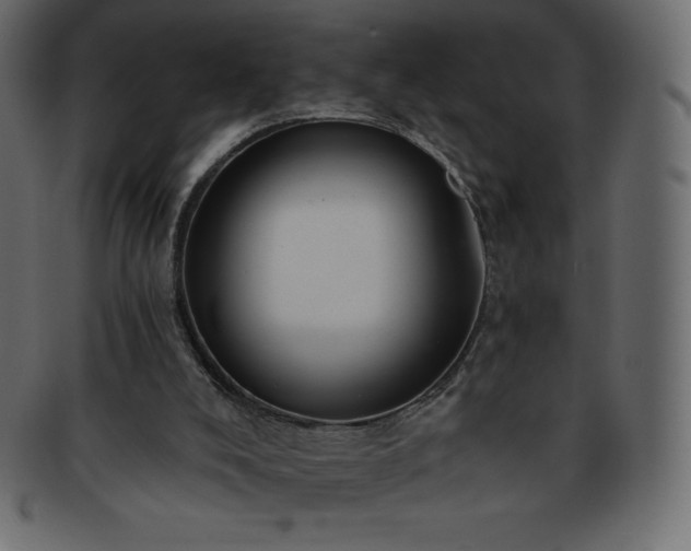 X0000093360008200710191106