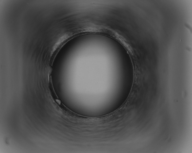 X0000093360011200710191106