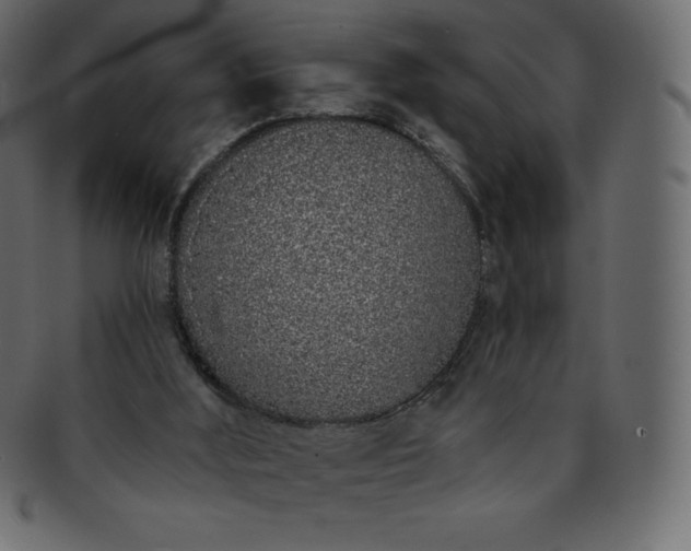 X0000093360012200710191106