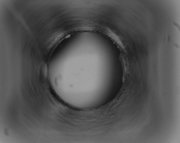 X0000093360013200710191106
