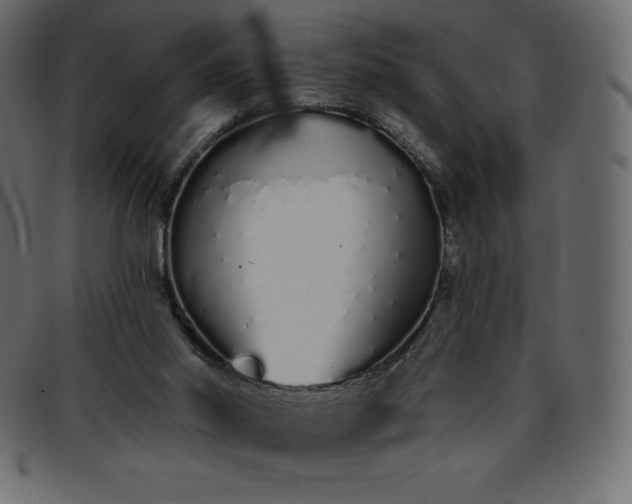 X0000093360014200710191106