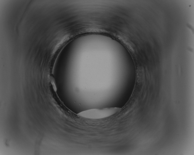 X0000093360015200710191106