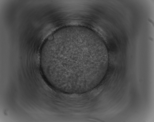 X0000093360016200710191106