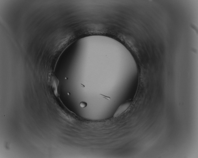 X0000093360017200710191106