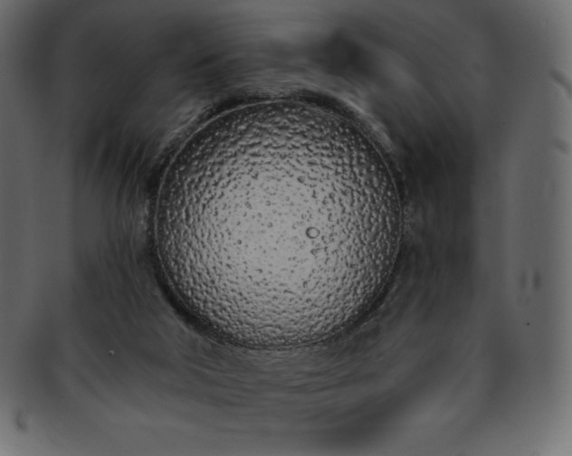 X0000093360018200710191106