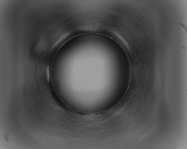 X0000093360020200710191106