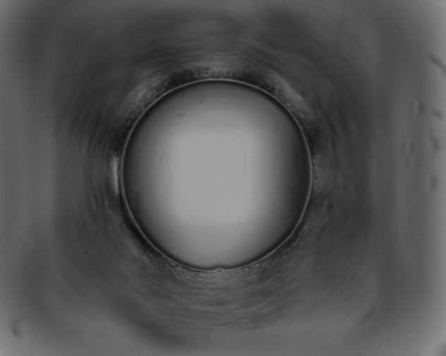 X0000093360022200710191106
