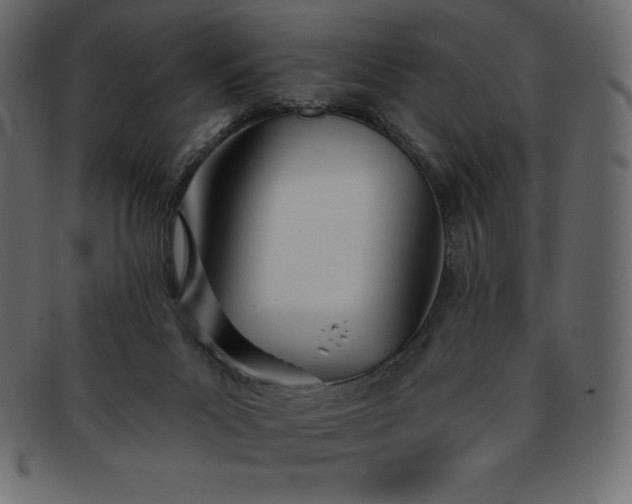 X0000093360023200710191106
