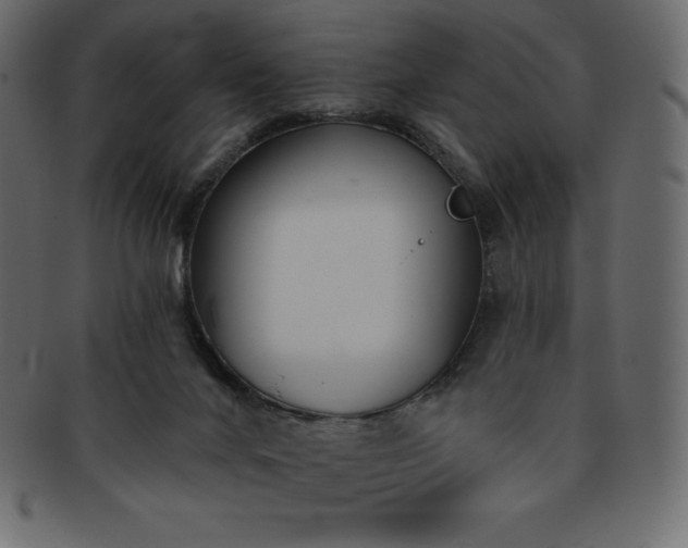 X0000093360024200710191106