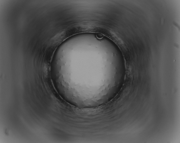 X0000093360026200710191106