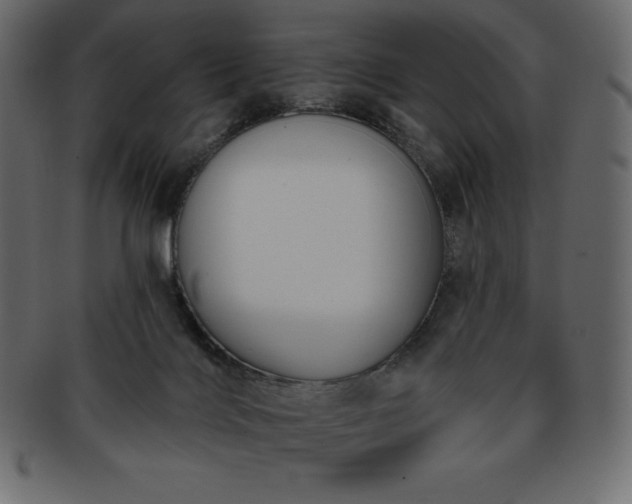 X0000093360028200710191106