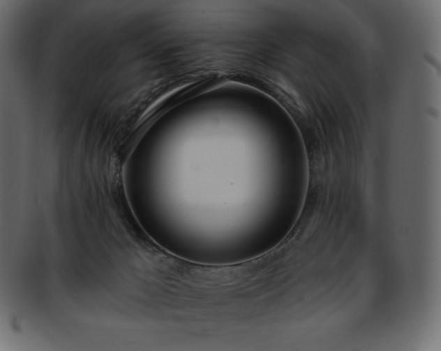 X0000093360029200710191106