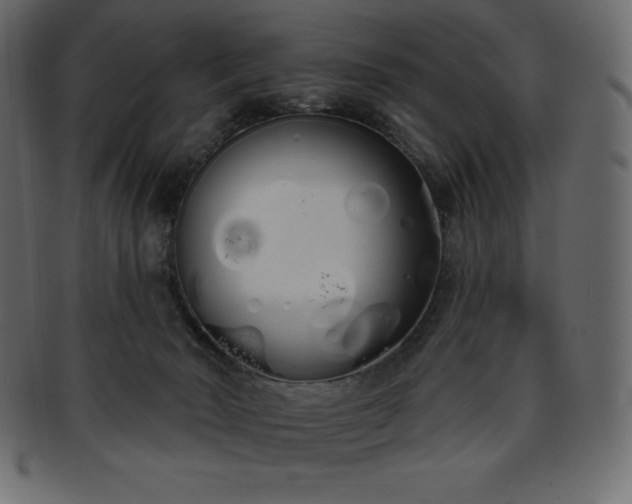 X0000093360030200710191106