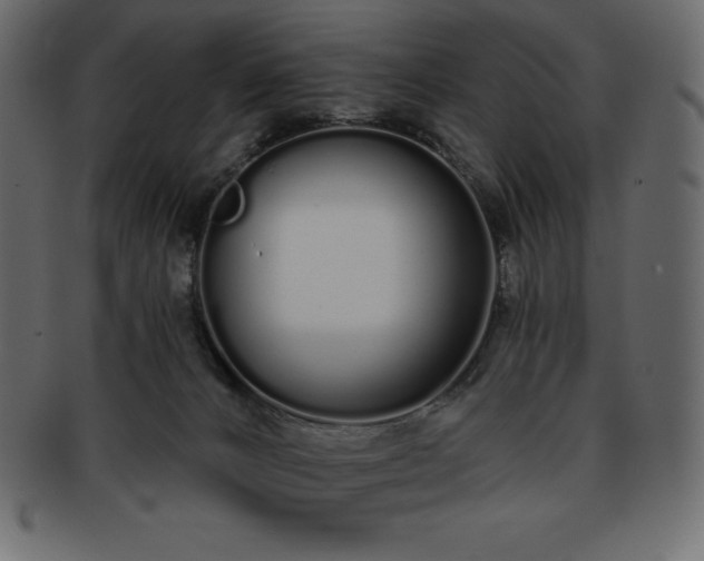 X0000093360032200710191106
