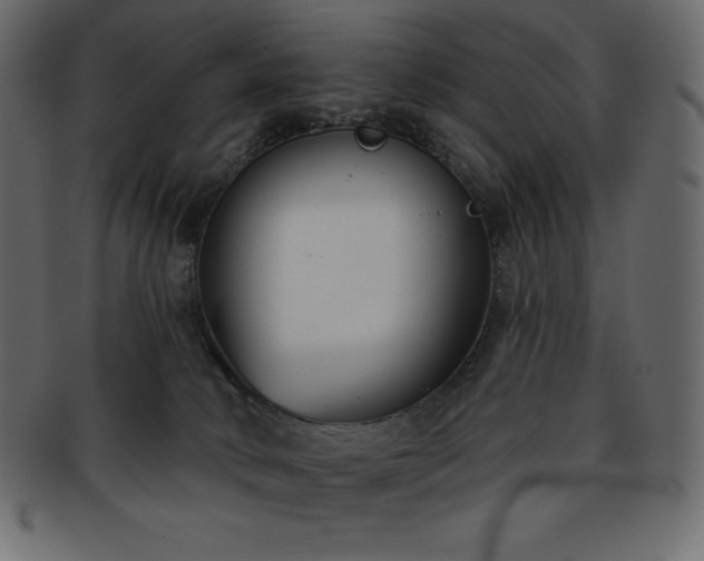 X0000093360034200710191106