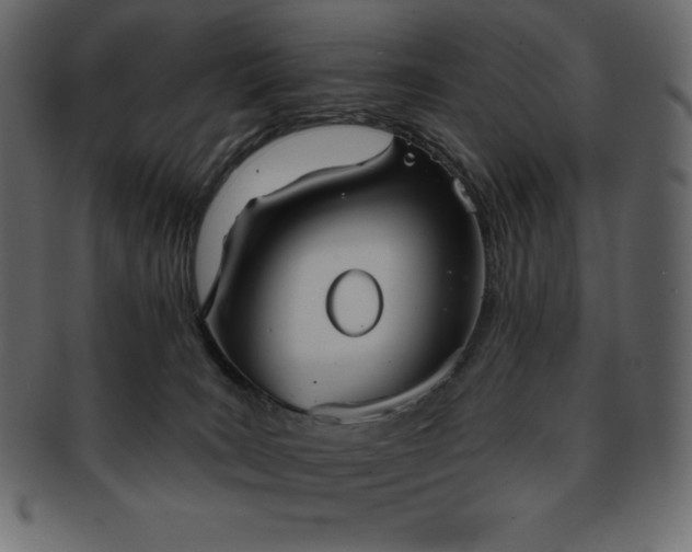 X0000093360035200710191106