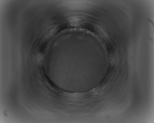 X0000093360036200710191106