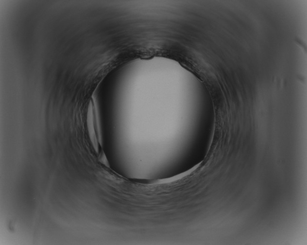 X0000093360037200710191106