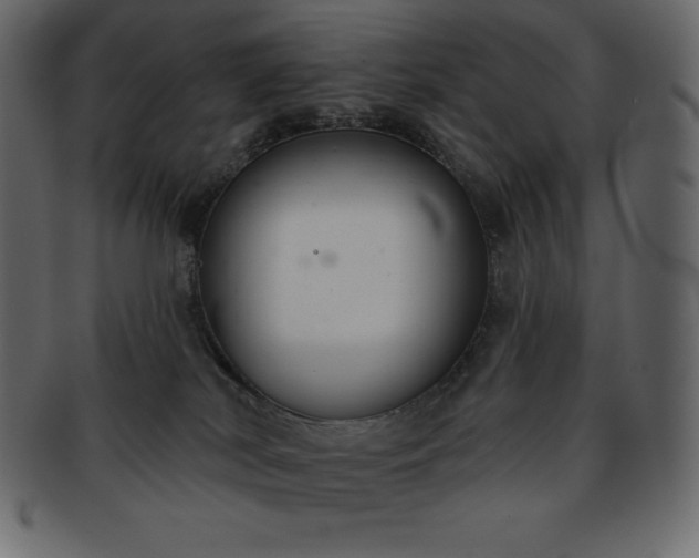 X0000093360038200710191106