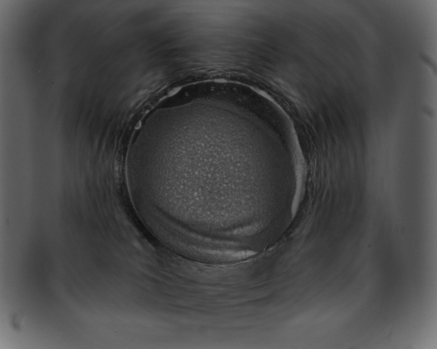 X0000093360039200710191106