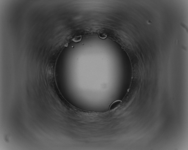 X0000093360040200710191106