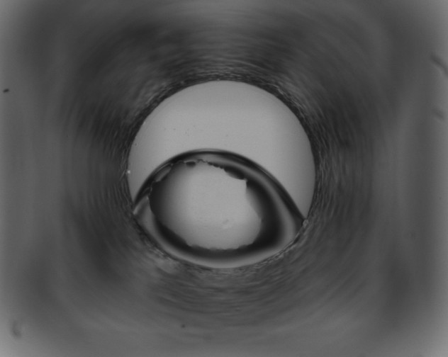 X0000093360041200710191106
