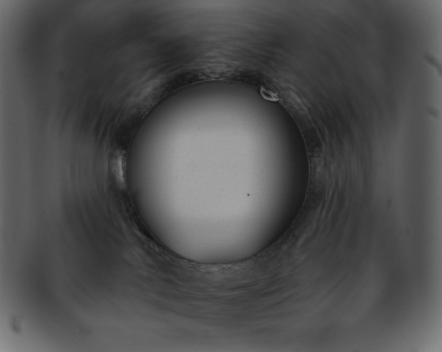 X0000093360042200710191106