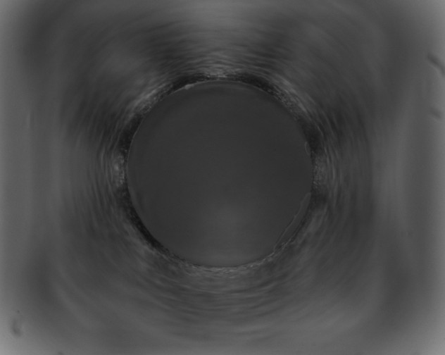 X0000093360043200710191106