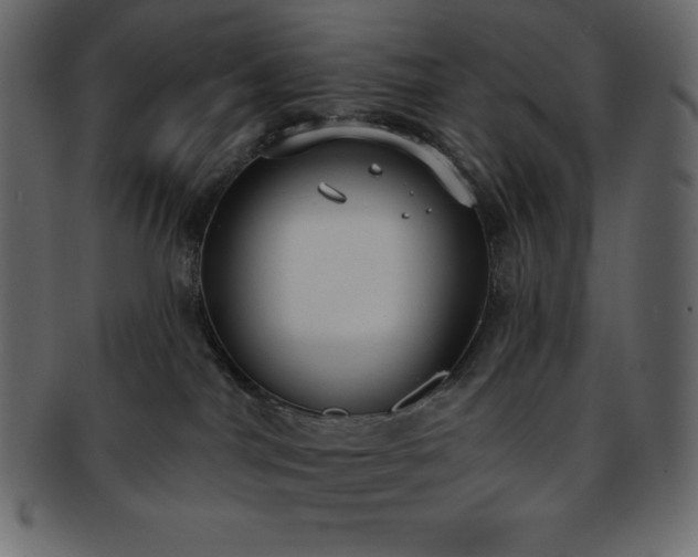X0000093360044200710191106