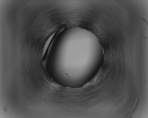 X0000093360045200710191105