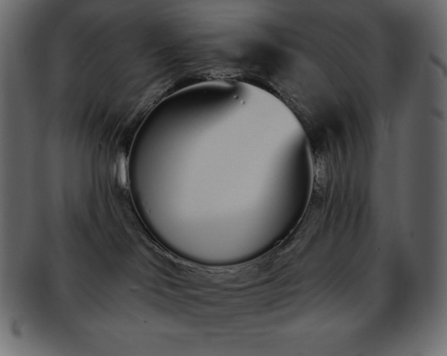 X0000093360046200710191105