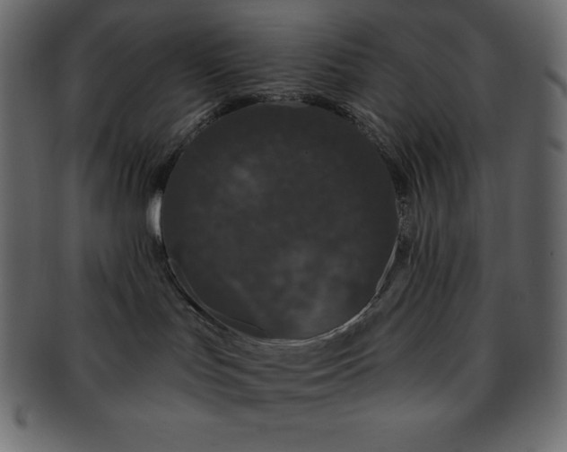 X0000093360047200710191105