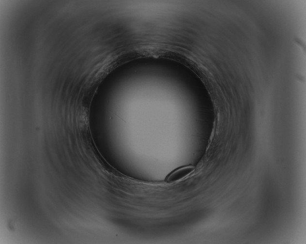 X0000093360048200710191105