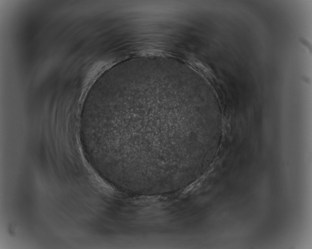 X0000093360049200710191105
