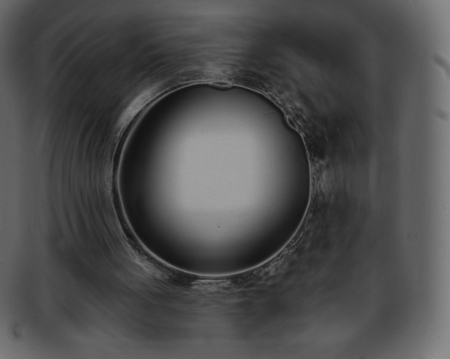 X0000093360051200710191105