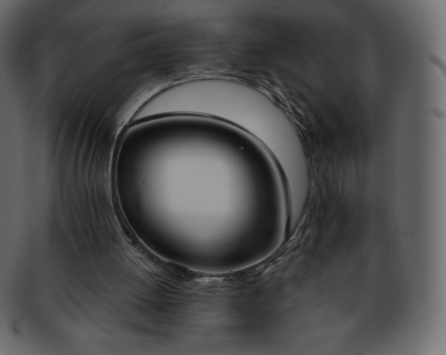 X0000093360052200710191105