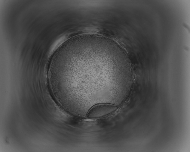 X0000093360053200710191105