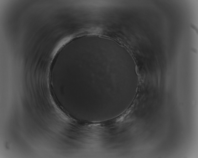 X0000093360054200710191105