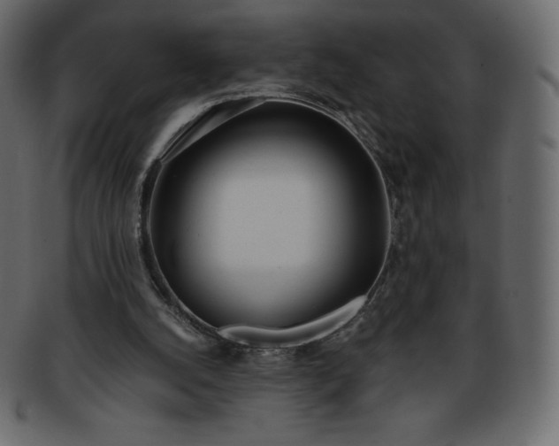 X0000093360056200710191105