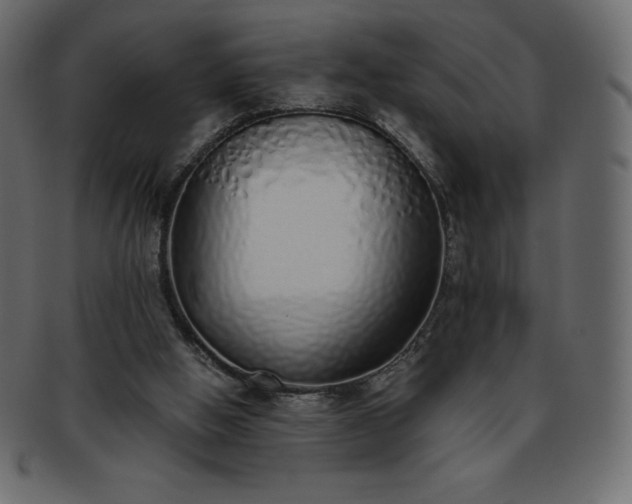 X0000093360058200710191105