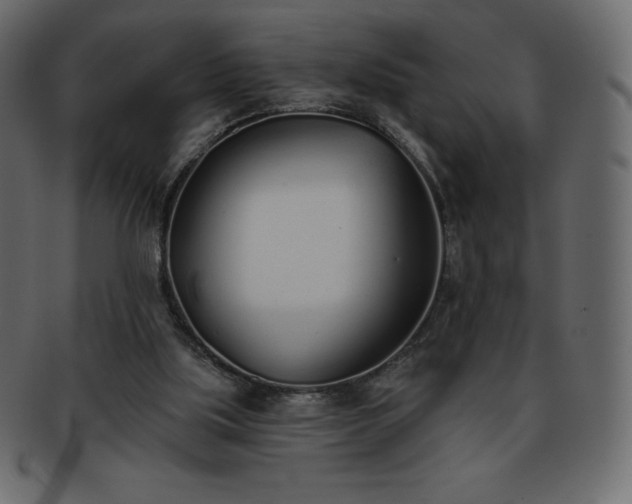 X0000093360059200710191105