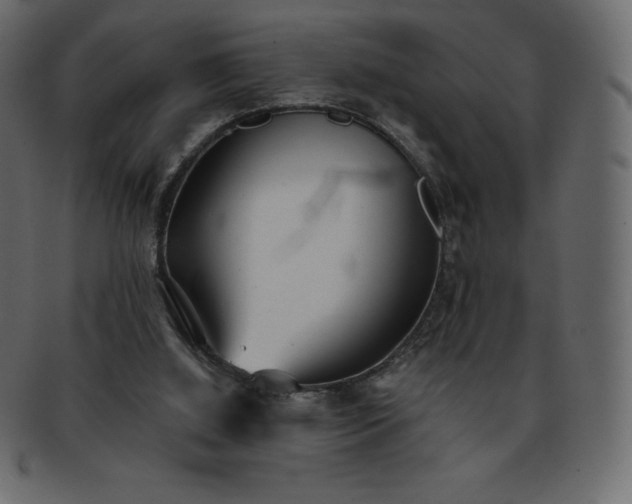 X0000093360060200710191105