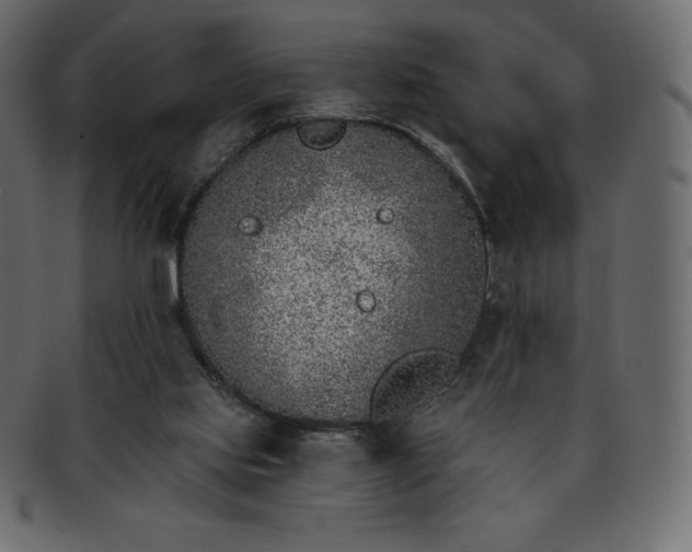 X0000093360061200710191105