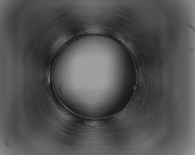 X0000093360062200710191105