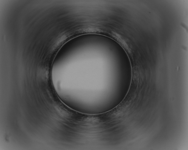 X0000093360063200710191105