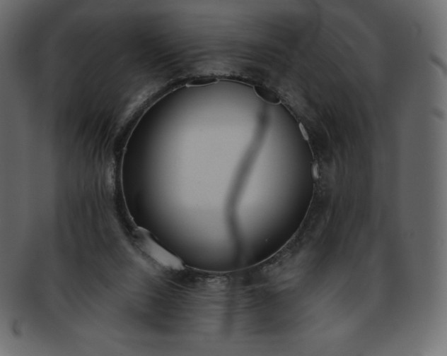 X0000093360064200710191105