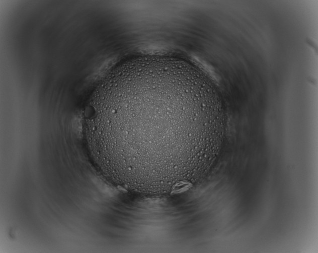 X0000093360065200710191105