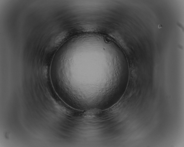 X0000093360066200710191105