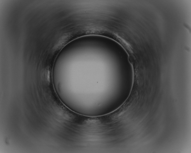 X0000093360067200710191105
